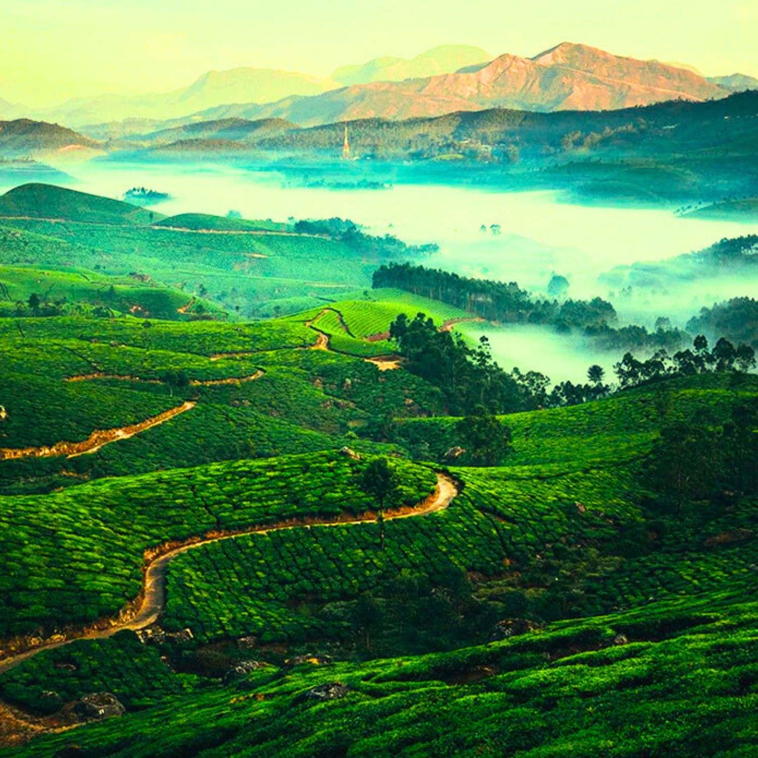 Munnar